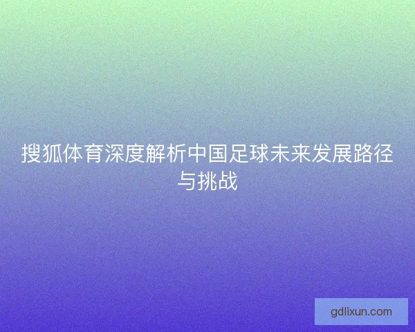 搜狐体育深度解析中国足球未来发展路径与挑战